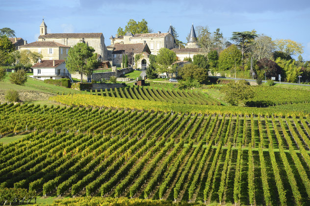 Wijngaard Bordeaux Saint-Emilion