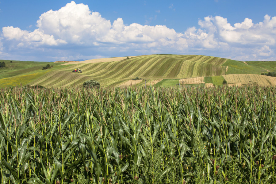 Glooiende heuvels met tractor op het Franse platteland